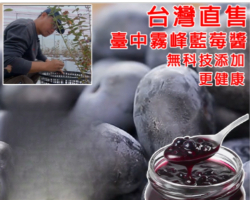 台中霧峰藍莓醬